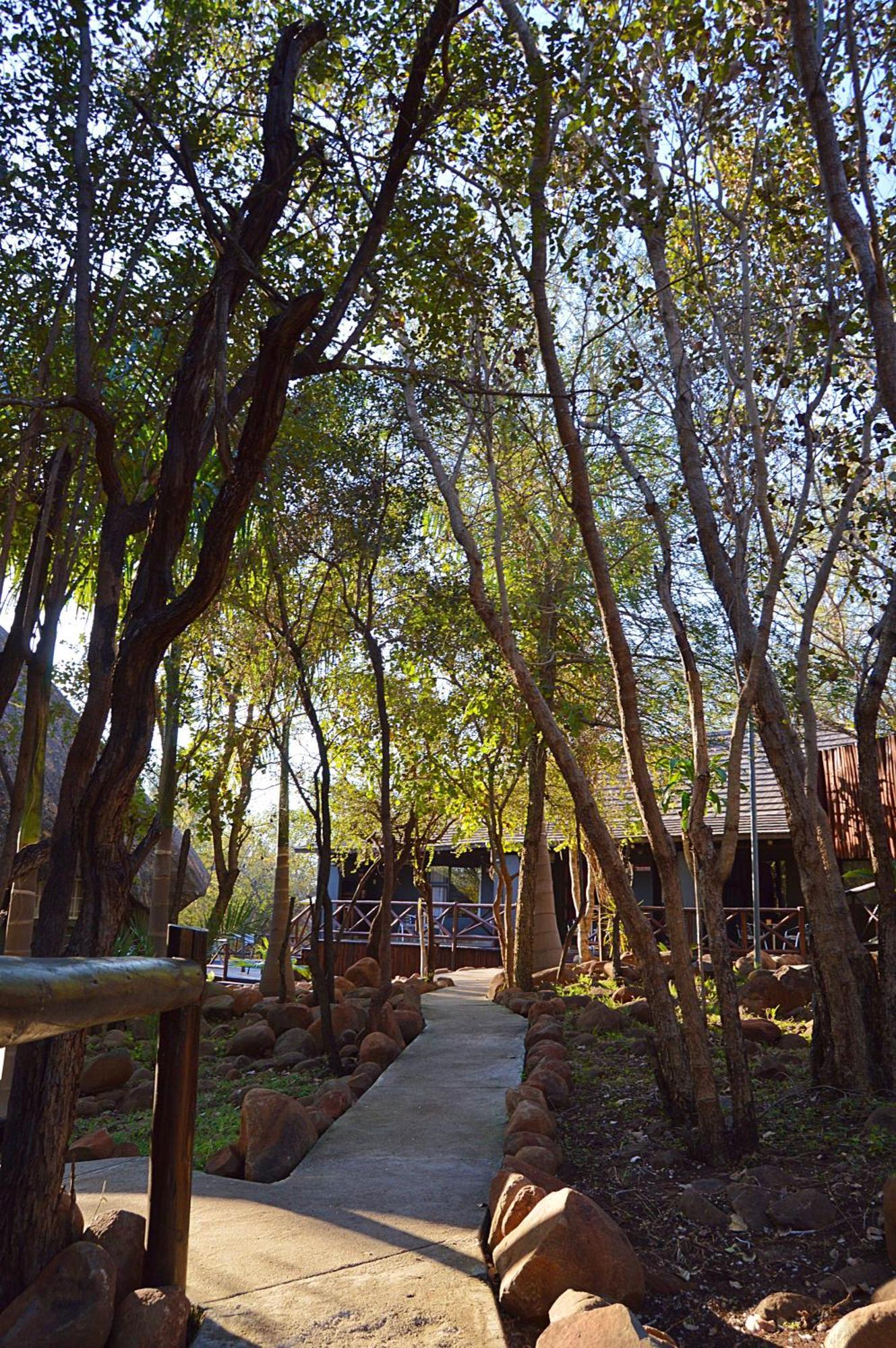 Royal Marlothi Kruger Safari Lodge And Spa Marloth Park Exteriör bild