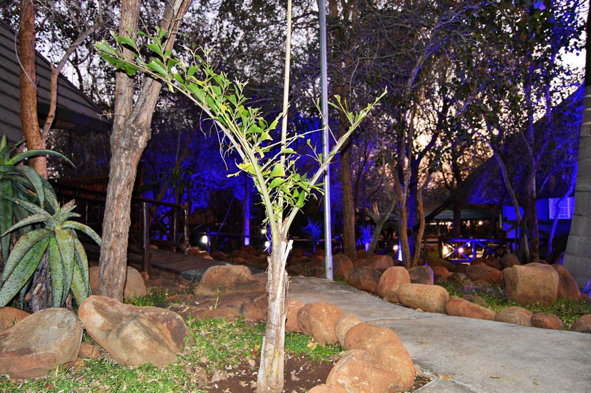 Royal Marlothi Kruger Safari Lodge And Spa Marloth Park Exteriör bild